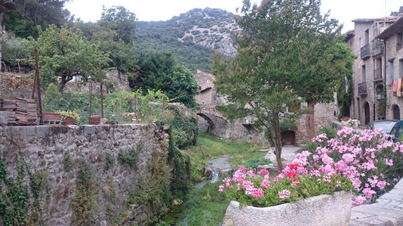 Gite De La Tour Saint-Guilhem-le-Desert Exteriör bild