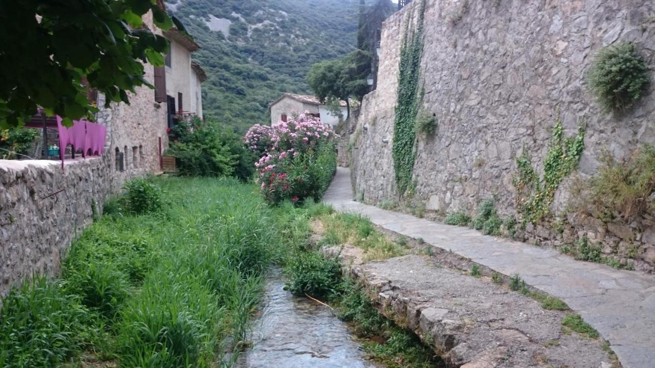 Gite De La Tour Saint-Guilhem-le-Desert Exteriör bild